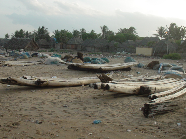 Chennaibeachindia2005035.jpg