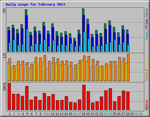 Daily usage for February 2013