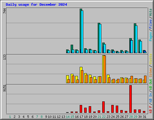 Daily usage for December 2024