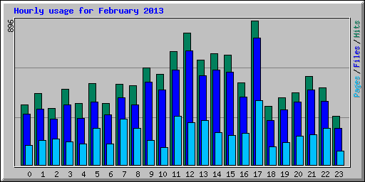 Hourly usage for February 2013