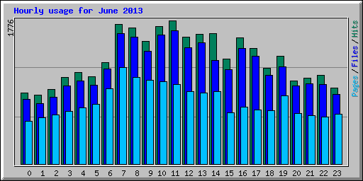 Hourly usage for June 2013
