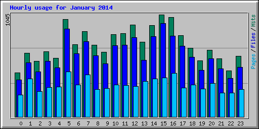 Hourly usage for January 2014