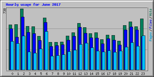 Hourly usage for June 2017