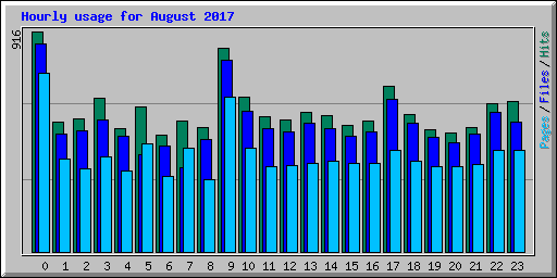 Hourly usage for August 2017