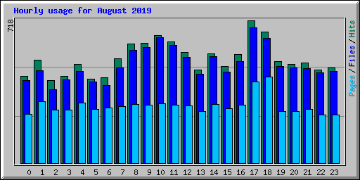 Hourly usage for August 2019