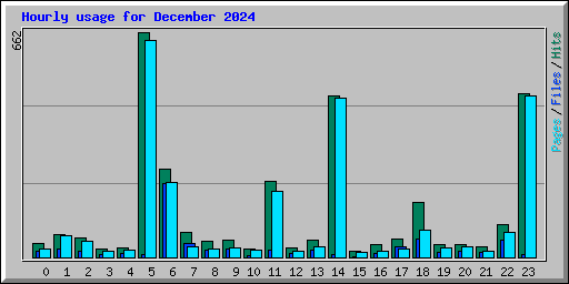Hourly usage for December 2024