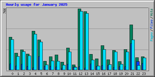 Hourly usage for January 2025