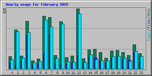 Hourly usage for February 2025