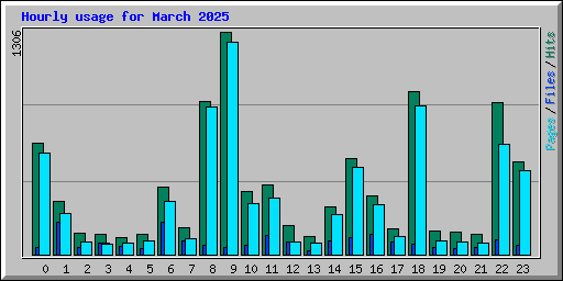 Hourly usage for March 2025