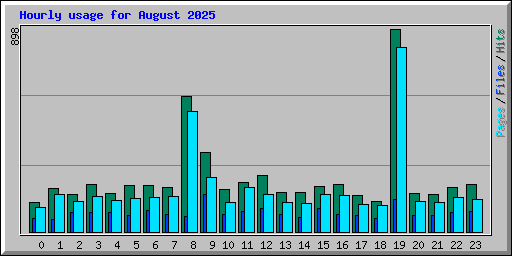 Hourly usage for August 2025